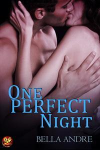 One Perfect Night by Bella Andre